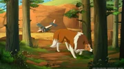 Lassie versucht die Spur von Zoes verschwundener Tante Kim zu finden.