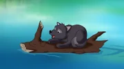 Ein Wolfsjunges ist ins Wasser gestürzt und treibt mutterseelenallein auf dem reißenden Fluss.