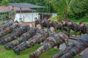Liegestützen synchron: Im Ausbildungslager der Legion im südamerikanischen Französisch-Guyana
