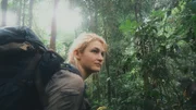 Unter dem dichten Blätterdach des Regenwaldes sieht das Expeditionsteam oft tagelang kein Sonnenlicht.