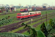 Kurz vor der Hauptstadt Yaoundé auf über 700 Metern.