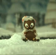 Auch Pitti liebt Schnee.