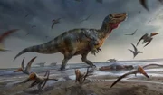 Auf der Isle of Wight entdeckt eine Gruppe von Paläontologen die versteinerten Überreste einer bisher unbekannten Dinosaurierart, die vor 125 Millionen Jahren auf der Insel lebte. MYSTERIOUS ISLANDS nimmt die Zuschauer mit auf eine unvergessliche Entdeckungsreise zu den außergewöhnlichsten und rätselhaftesten Inseln der Welt.