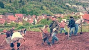 Ackern für ein Stück Heimat