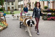 Jessie kommt mit Oswald und den Hundewelpen Groggy, Gandalf, Gala, Gulliver und Greg auf den Marktplatz.