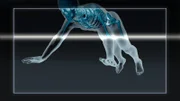 CGI IMAGE: details: A person mid fall (as if having come off a bike etc, rather than falling off their feet) with their hands outstretched as they hit the ground.