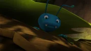 Der Ohrenkneifer Igor versteckt sich vor dem Sonnenlicht.