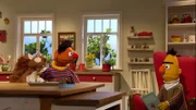 Ein Eichhörnchen als Haustier? Für Ernie vorstellbar, für Bert eher nicht.