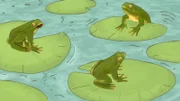 So viele Frösche veranstalten ein wahres Froschkonzert.