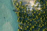 Die Unterwasserwelt an der Küste Mosambiks bietet Lebensraum für unzählige Meeresbewohner.