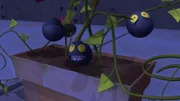 Hinterhältige Allesfresser machen sich über die Blumen her.