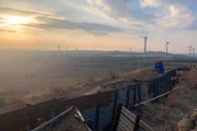 Producerin Lydia Baines sucht die Weiten der Golanhöhen nach Wölfen ab.