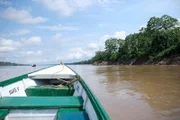 Die unendlichen Weiten des Amazonas in Peru: Majestätische Baumriesen säumen die Ufer des mächtigen Flusses.