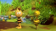 Ganz geheuer ist Willi diese Beerenbiene nicht.