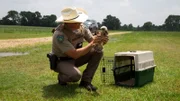 Game Warden Sean Reneau untersucht einen verletzten Vogel.