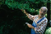 Peter (Peter Lustig) entdeckt einen Ginkgo. Vielleicht ist das ja der gesuchte Baum von Onkel John!