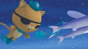Kwasi verfolgt die Fliegenden Fische, um das Buch zurück zu holen, mit dem er und seine Oktonauten-Freunde gerade auf Entdeckungstour gegangen sind...