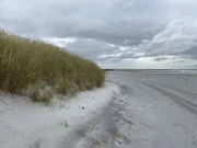 Port Stanley auf den Falklandinseln. Impressionen vom Pinguin-Strand.