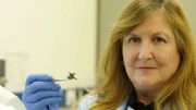 Prof. Lorna Dawson
