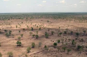 Trockenheit herrscht im Buschland bis zu acht Monate im Jahr. Die heißen Wüstenwinde der Sahara wehen über Ghana.
