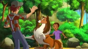 Lassie stellt sich schützend vor Harvey, der von den Ganoven entdeckt wurde.