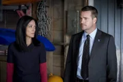 Elizabeth Bogush (Joelle Taylor), Chris O'Donnell (Special Agent G. Callen).