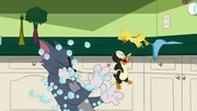 v.li.: Tom, Tuxedo, Quacker