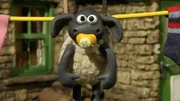 Timmy hängt an der Wäscheleine. Wer hat ihn da aufgehängt?