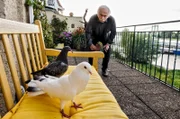 Edwin Bremer (Tilo Prückner) hat ein Tauben-Problem auf seinem Balkon.
