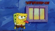 SpongeBob