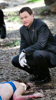 Bereits zum zweiten Mal in acht Monaten muss sich Mac Taylor (Gary Sinise) mit einer jungen Frauenleiche im Central Park befassen, die zwei tiefe Schnittwunden direkt über dem Herzen aufweist.