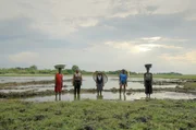 Beim Fischen begegnen den Frauen viele Gefahren wie Schlangen, Krokodile oder auch Flusspferde. In Afrika werden jährlich 500 Menschen Opfer von Flusspferd-Angriffen.