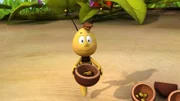 Willi sucht den falschen Pollen für die Königin aus.