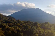 Virunga bedeutet in der Sprache Kinyarwanda „Vulkan“. Bis heute sind zwei der acht vulkanischen Berge der Kette aktiv.