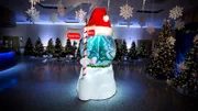 The finished Snow Globe aquarium.
