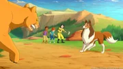 Lassie verteidigt Harvey, Zoé und Kim vor dem gefährlichen Berglöwen.