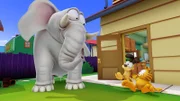 Shrimpy, der Elefant, wird von seinem Besitzer schlecht behandelt und flieht mit Hilfe von Garfield und Odie.