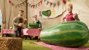 Wer hat die schönsten Zucchini? Der Farmer ärgert sich über Farmer Ben.