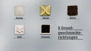 Mit der Zunge kann zwischen fünf Grundgeschmacksrichtungen unterschieden werden: süß, sauer, salzig, bitter und umami.