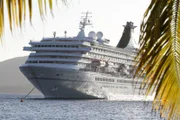 Das Kreuzfahrtschiff "Grand Lady" hinter Palmen vor den Iles-des-Saintes/Guadeloupe in der Karibik vor Anker.