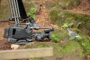 ARD/NDR ERLEBNIS ERDE: WILDES DEUTSCHLAND, "Der Schwarzwald", am Montag um 20:15 Uhr im ERSTEN. Ein Tannenhäher vor der Kamera: Tannenhäher ernähren sich im Sommer von Insekten, im Winter von Zirbelnüssen, Fichtensamen und Haselnüssen.