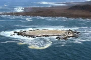 Die Insel Malgas beherbergt eine der größten Vogelkolonien Südafrikas. Der Name bedeutet auf Afrikaans „verrückte Gans“.