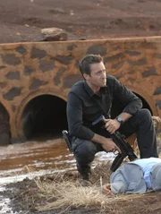 Ein neuer Mordfall beschäftigt Steve (Alex O'Loughlin) und sein Team ...