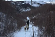 Brent Sass geht mit seinem Schlittenhundegespann in der Nähe seiner Hütte einen Weg entlang (National Geographic/Aaron Blaine).