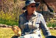 ARD/SWR DAS WAISENHAUS FÜR WILDE TIERE FOLGE 38, "Abenteuer Afrika", SWR Dokuserie mit 40 Folgen, deren Schauplatz die Tierrettungsstation "Harnas" am Rand der afrikanischen Kalahari-Wüste ist, am Donnerstag um 16:10 Uhr im ERSTEN. Der junge Pavian ist der neue Liebling von Marieta van der Merwe.