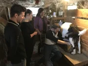 Küchenpraktikantin Steffi Gehrlein und Kadett Alexander Nepraunig dürfen auf einem Bauernhof in Portland (Maine, USA) beim Melken der Ziegen helfen.