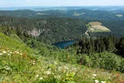 Bekannt ist der Schwarzwald zudem für die höchste Wasserfallkaskade Deutschlands.