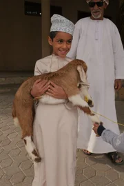 Junge auf dem Ziegenmarkt in Nizwa.
