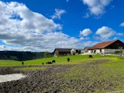 Der Silberbüffelhof von Hans Gabauer in Esternberg.