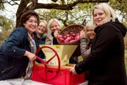 Christine Bernhard, Michaela Frick, Bianca Güldenberg, Jutta Braun und Tanja Müller